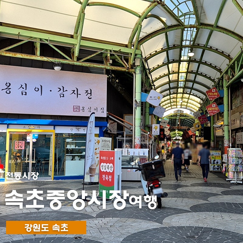 속초중앙시장 먹거리 투어 꼭 먹어야 할 음식 정리