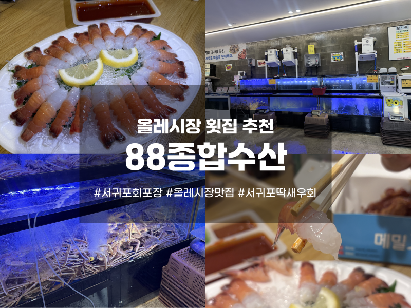 올레시장 횟집 [88종합수산] 서귀포 회포장, 딱새우회 후기, 제주회맛집