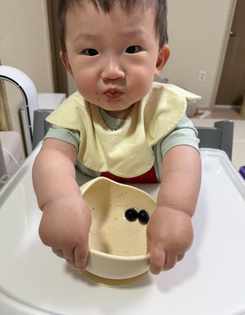 슈퍼푸드라고 무작정 먹였다가 낭패 봅니다! 아기 블루베리 시작 시기와 치명적 실수 3가지