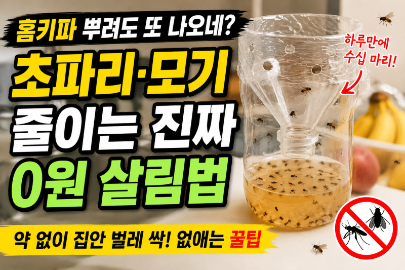 “홈키파 뿌려도 또 나오네?” 초파리·모기 줄이는 진짜 0원 살림법