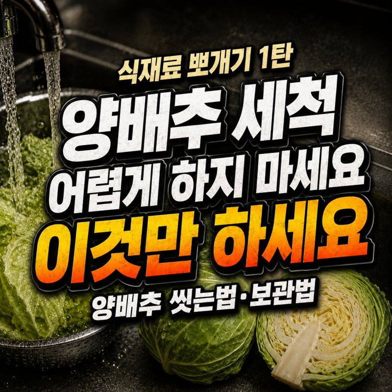 양배추 세척 어렵게 할 필요 없습니다… 이것만 하세요｜양배추 씻는법·보관법