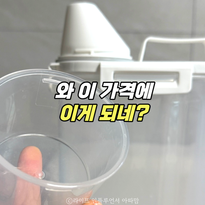 다이소 “이 가격에 이런 것도 된다고?” 의외로 잘 나온 3가지
