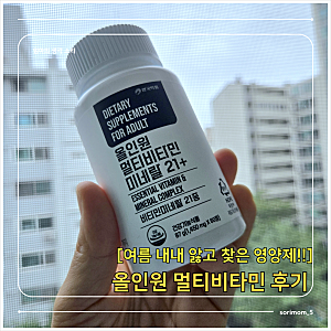 미네랄21 올인원멀티비타민 후기