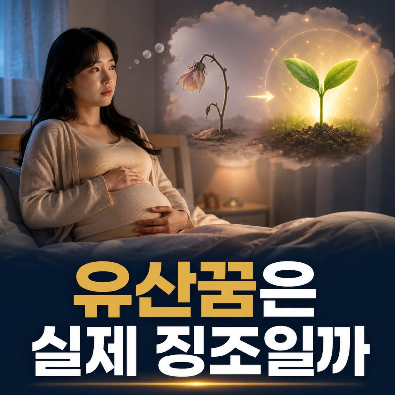 임신 중 유산꿈을 반복해서 꾸면 실제 징조일까?