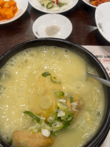 수원 삼계탕 맛집 백세삼계탕 | 말복 몸보신으로 먹은 상황삼계탕 후기