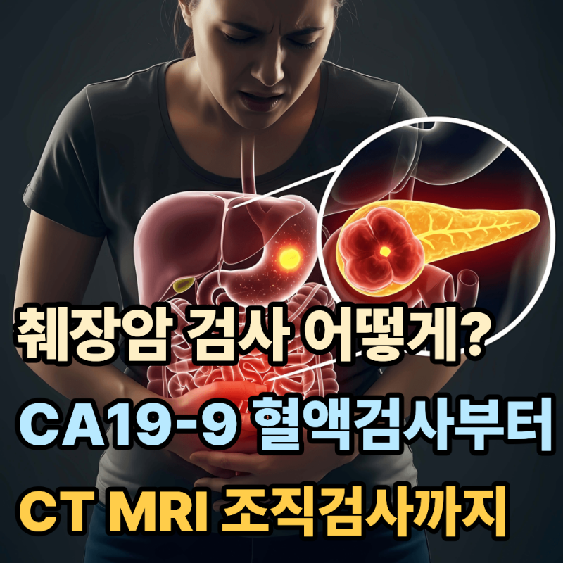 췌장암 검사 어떻게 할까? CA19-9 혈액검사부터 CT·MRI·조직검사까지