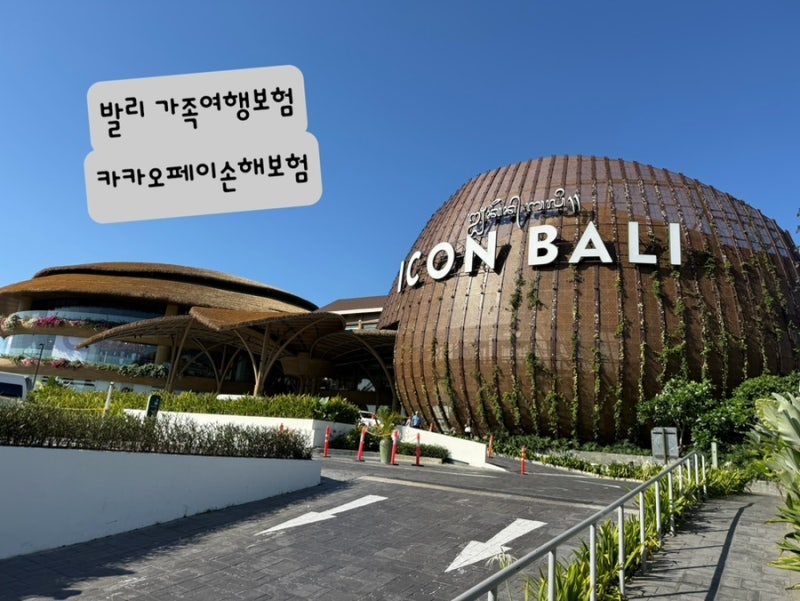 카카오페이 손해보험 여행자보험 :: 발리 가족여행 해외여행보험 3인 가입 후기 (함께가입 할....