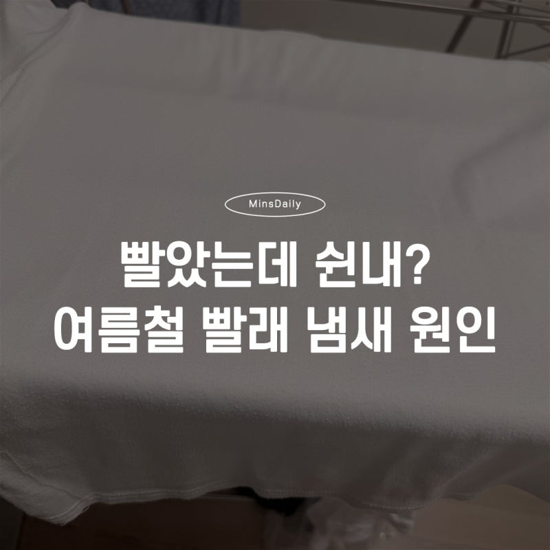 여름철 빨래 쉰내 원인과 없애는 법, 흰옷 재세탁까지 해본 후기