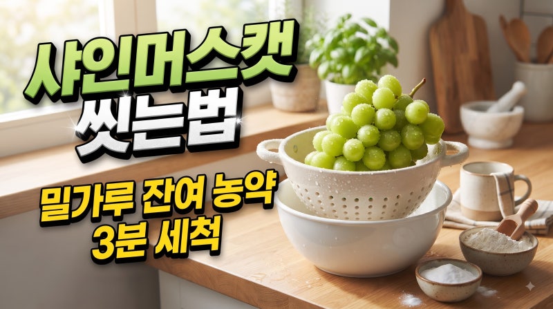 샤인머스캣 씻는법 밀가루 베이킹소다 잔여 농약 세척