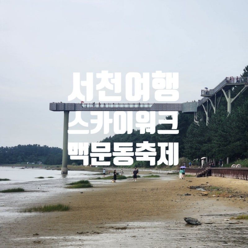 장항 스카이워크 전망대 서천 맥문동 축제장