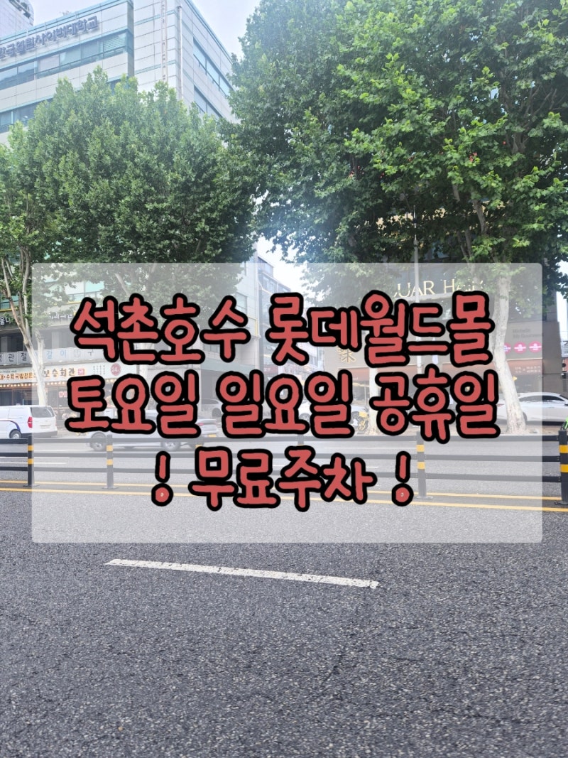 석촌호수 & 롯데월드몰 주차 꿀팁 (무료 주차부터 주말 갓길 주차까지)