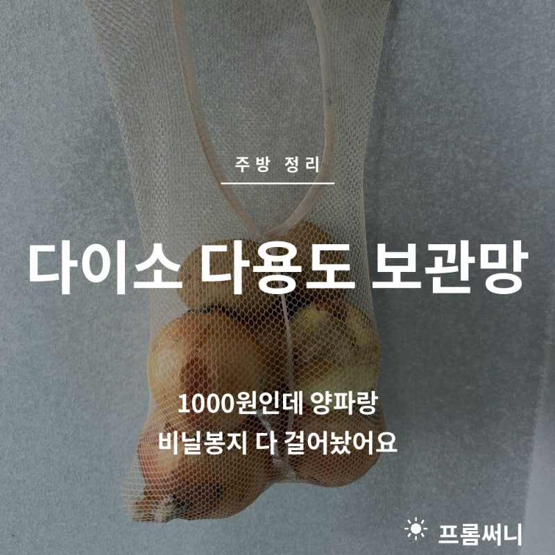 다이소 살림템 보관망 1000원인데 양파랑 비닐봉지 다 걸어놨어요!