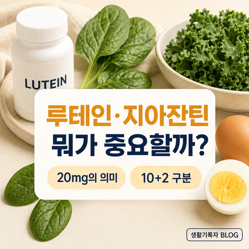 루테인·지아잔틴이란? 눈 건강 효과·하루 섭취량·음식·복용법 총정리