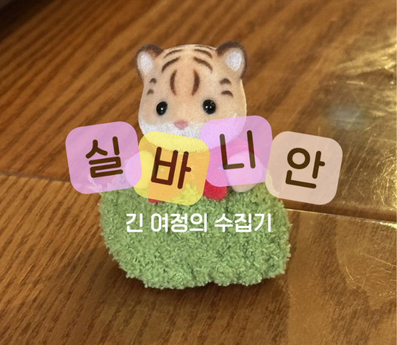 실바니안 수집 기록지- 5월부터 3달동안 수집한 고전, 신상 실바니안 아가들