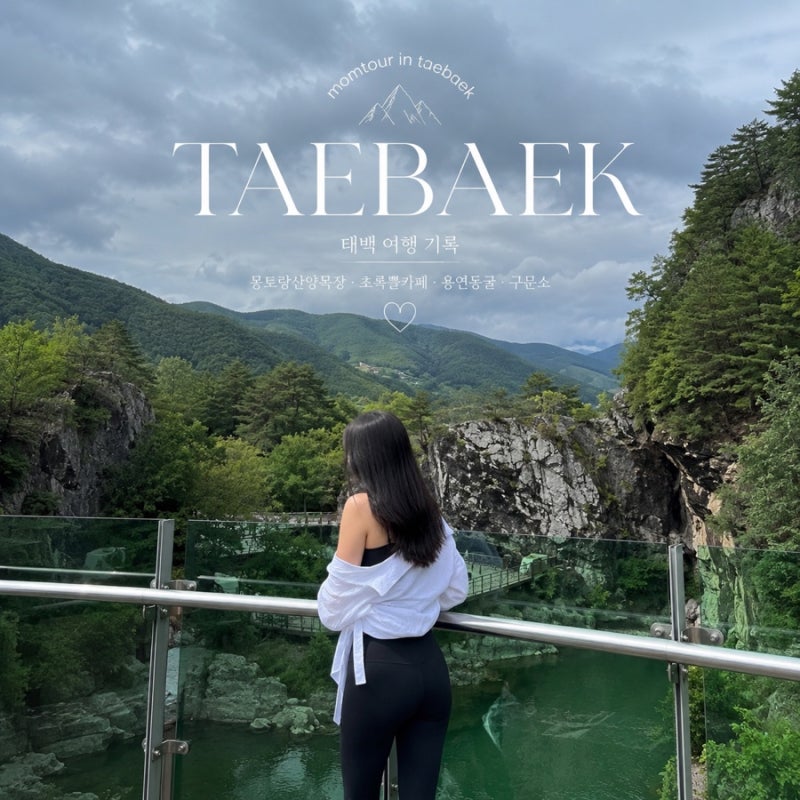 태백 여행 가볼만한곳｜1박 2일 태백 여행 코스 몽토랑산양목장·초록뿔카페·용연동굴·구문....
