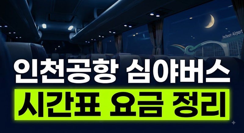 2026 인천공항 심야버스 시간표 및 타는 곳: N6000·N6002 노선·요금·예매 총정리