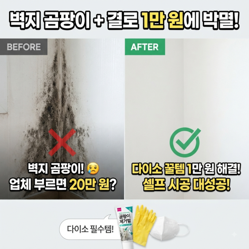 자취방 곰팡이 제거 및 결로 예방 완벽 가이드 (다이소 가성비 제품 셀프 시공 후기)