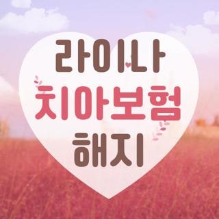 라이나 치아보험 해지 환급금 확인 및 모바일 앱 신청 방법 3가지 총정리