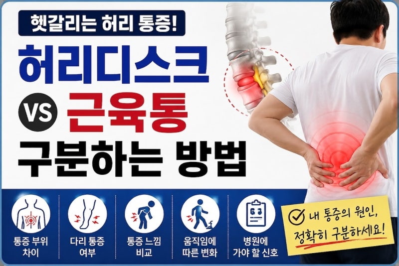 대소변 장애에 다리 마비까지? 허리 통증 절대 방치하면 안 되는 경고 신호, 상황별 골든타임....