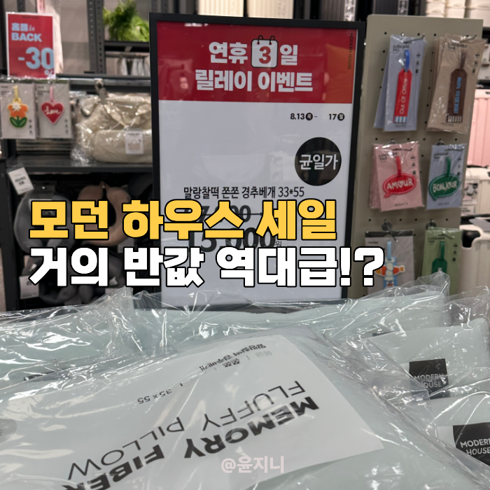 "거의 반값이네?" 대구 성서 홈플러스 모던하우스 플러스 세일, 득템 후기