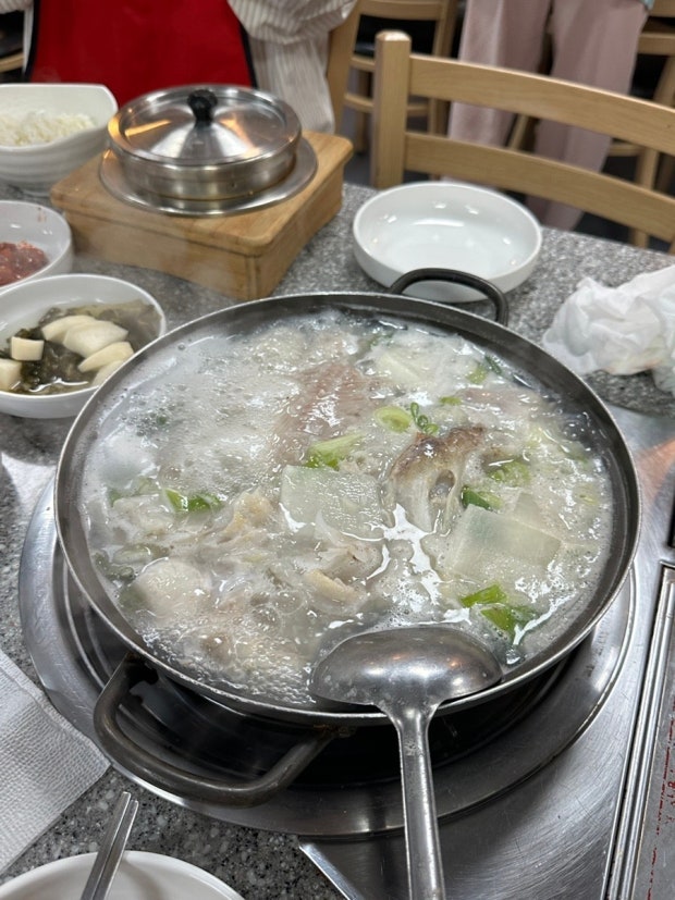 속초 물곰탕 맛집, 현지인이 인정한 곳은 어디? 완벽 정리