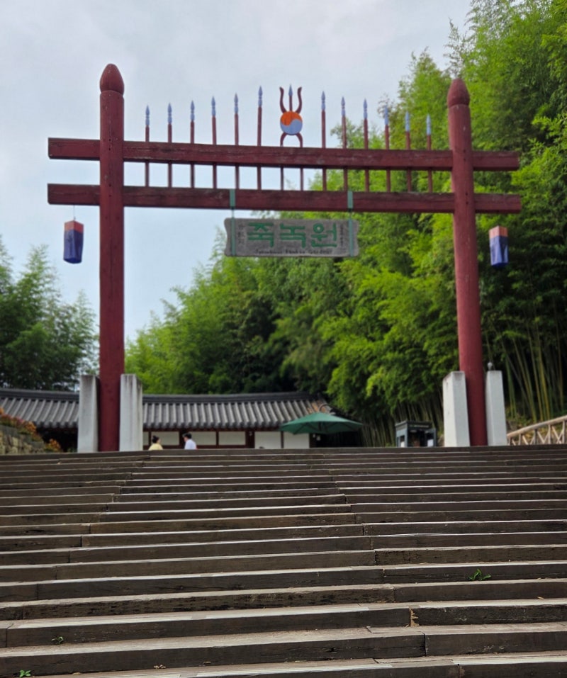 담양 죽녹원 다녀왔어요｜입장료·주차·산책코스 총정리, 걷기만 해도 힐링되는 담양 여행