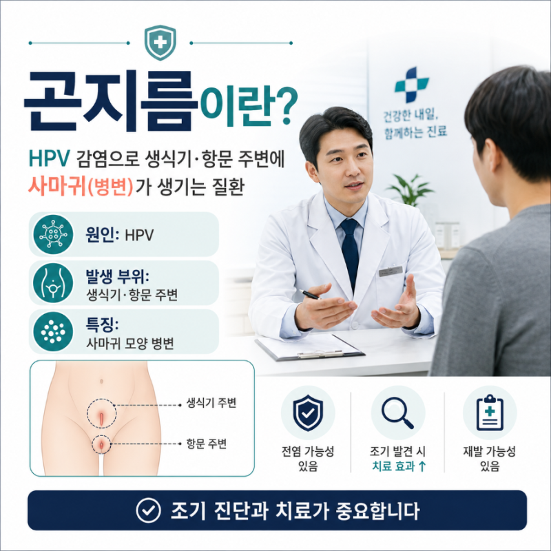 곤지름 증상, 원인, 전염, 치료, 재발, 생활관리 등 핵심 정리