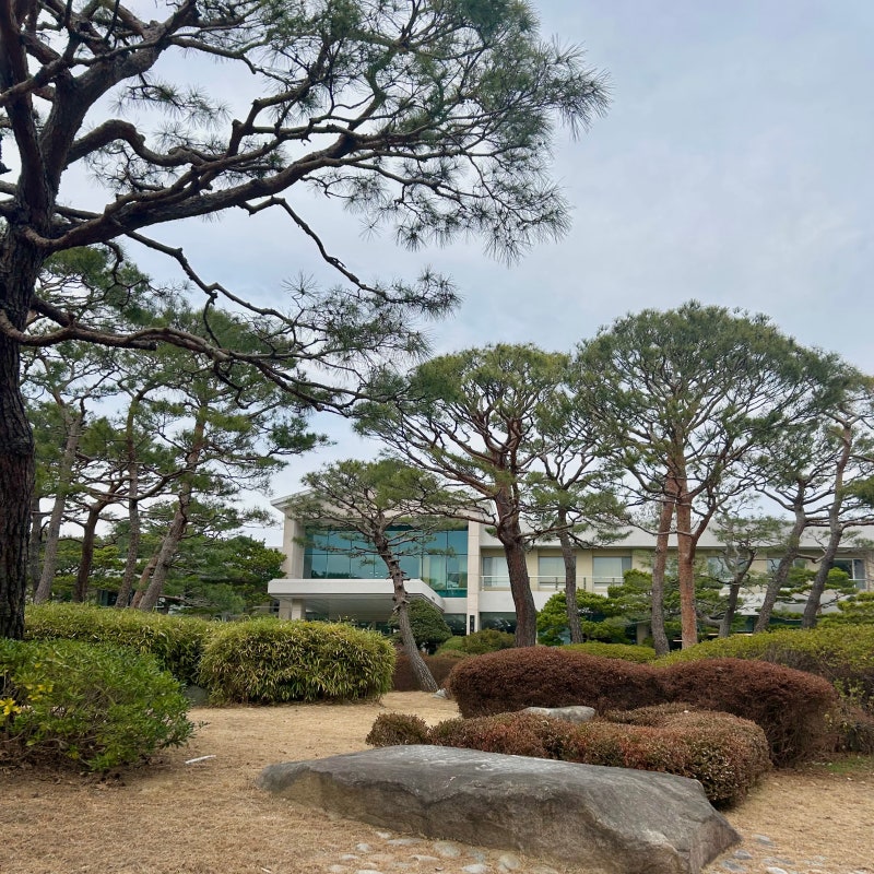 포항 상견례 장소, 영일대호텔 내 진진 후기