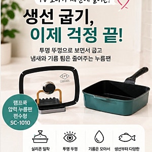 TV 보다가 눈에 들어온 주방템｜생선 굽기 편해 보이는 압력 누름팬