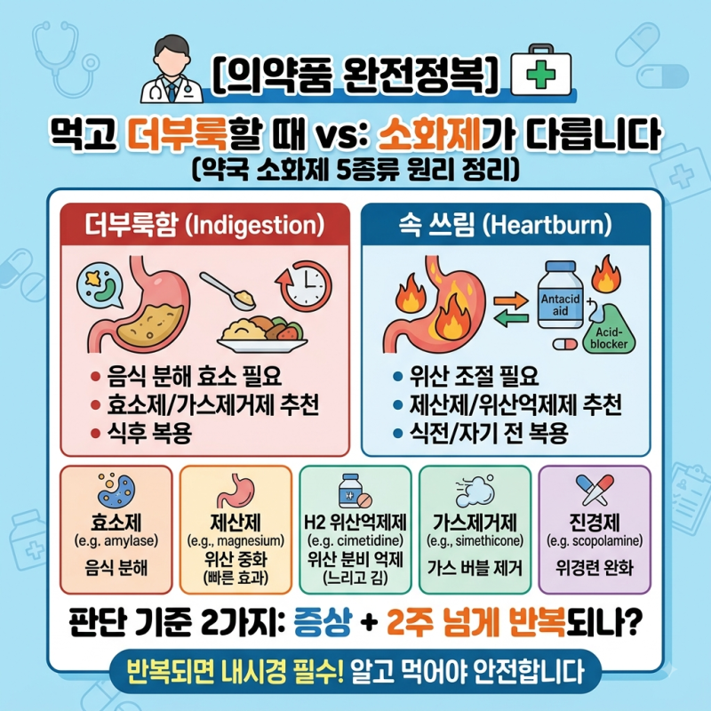 먹고 더부룩할 때와 속 쓰릴 때, 소화제가 다릅니다 (약국 소화제 5종류 원리 정리)