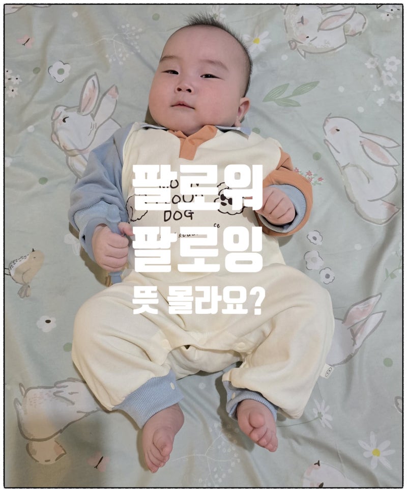 팔로워 팔로잉 뜻 차이, SNS 왕초보라면 3분 만에 개념 총정리 (+ 헷갈리는 용어 차이)