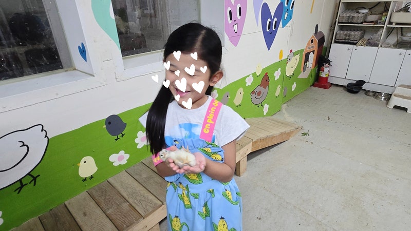 [김포투어패스] 김포 농촌관광 투어패스로 농촌체험하기, 개인적 만족도 순위까지 정리!