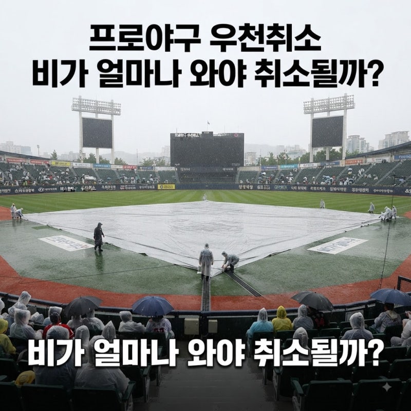 프로야구 우천취소된 경기는 언제 다시 할까? 우천취소 기준부터 잔여경기 편성까지