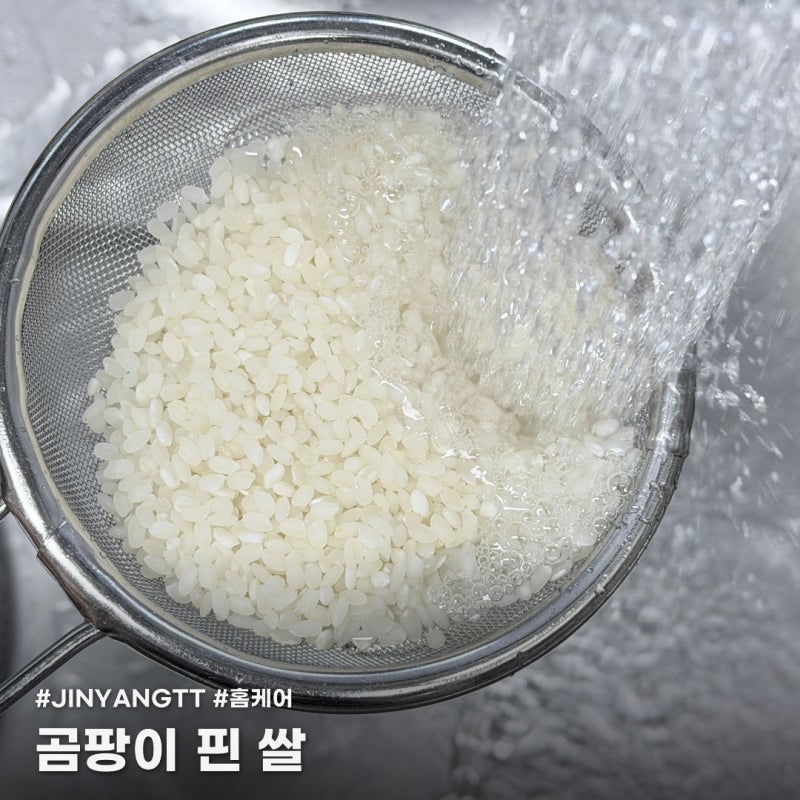 곰팡이 핀 쌀 씻으면 괜찮을까? 구별법과 폐기법, 먹었을 때 대처까지
