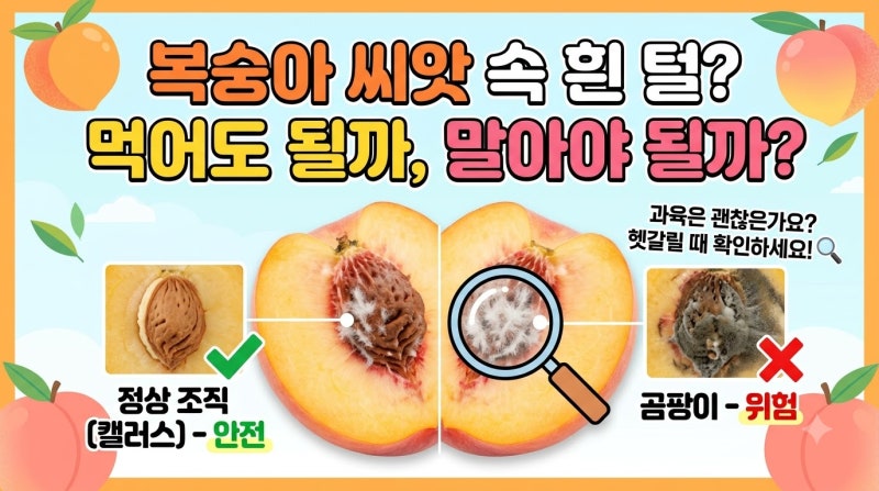 복숭아씨 속 하얀 솜털, 곰팡이일까 아닐까
