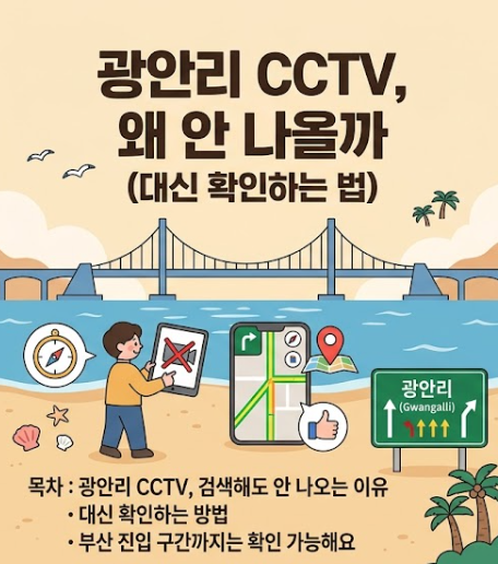 광안리 CCTV, 왜 안 나올까 (대신 확인하는 법)
