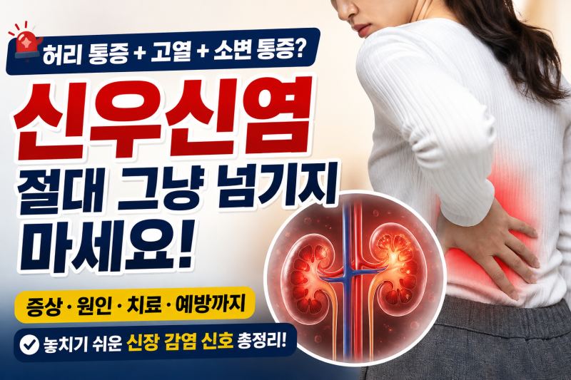 단순 방광염인 줄 알았는데… 옆구리 찌르는 신우신염 증상과 원인, 골든타임 치료법 총정리....