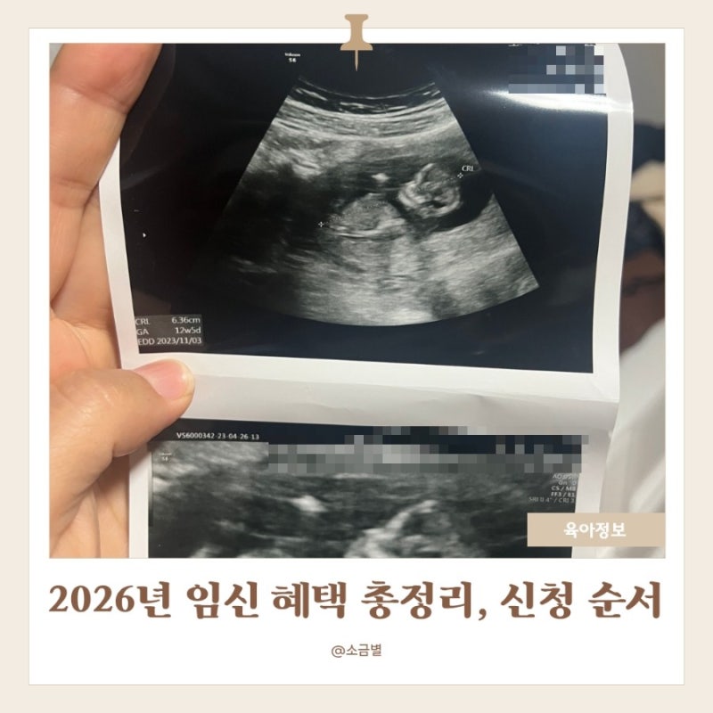 2026 임신 혜택 신청 순서 / 국민행복카드, 보건소, 단축근무, 정부24