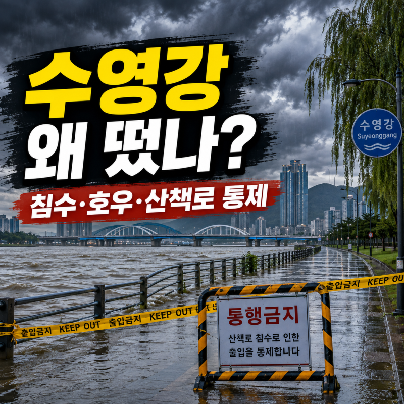수영강 왜 갑자기 검색어에 떴나? 부산 침수·호우·산책로 통제 현재 상황 총정리