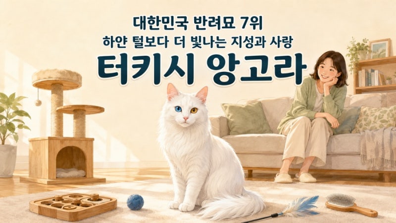 대한민국 반려묘 7위 터키시 앙고라｜하얀 털과 오드아이 너머의 성격·털관리·건강