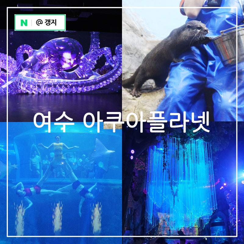 여수 아이와 가볼만한곳 실내 여행지 추천 여수 아쿠아플라넷 아쿠아리움