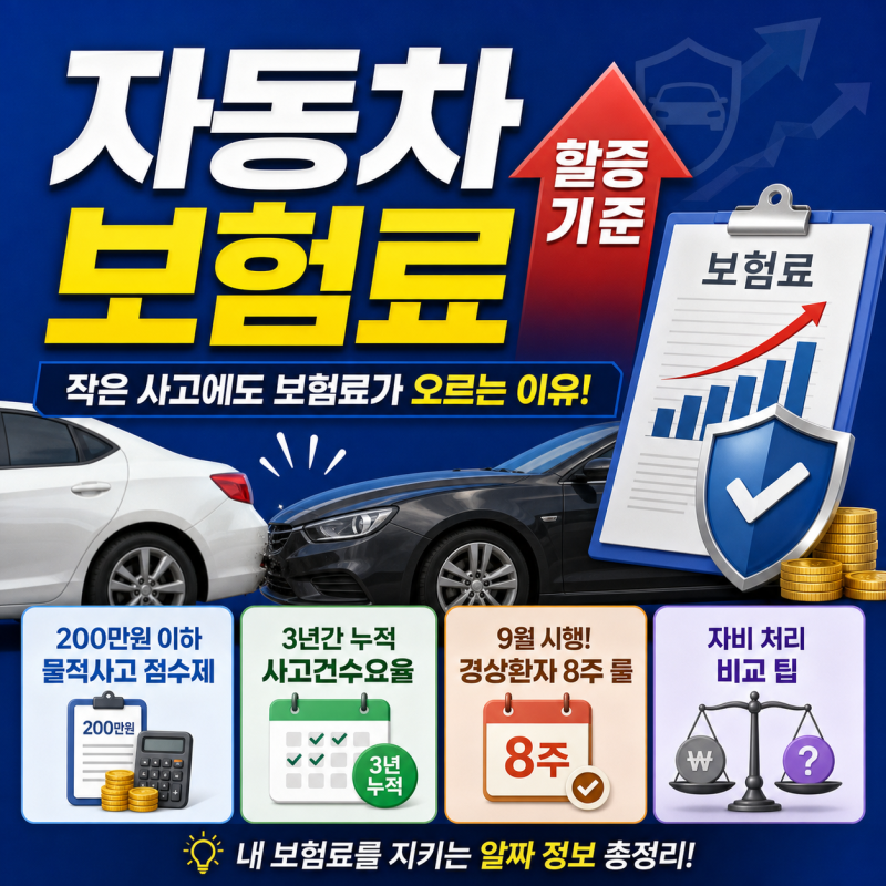 자동차 보험료 할증 기준
