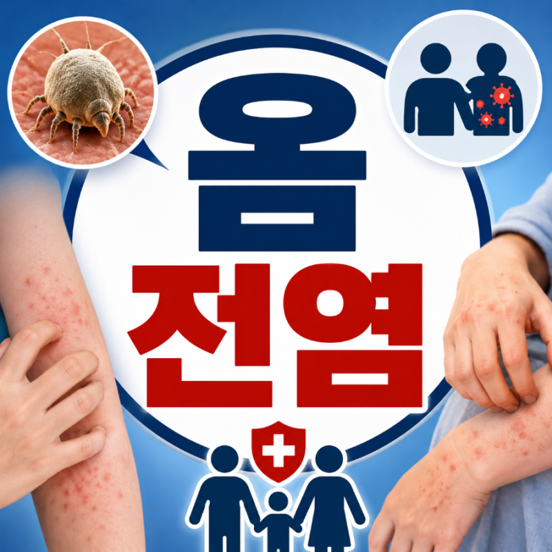 옴 전염, 가족끼리 옮을까? 전염경로·잠복기·예방법 정리
