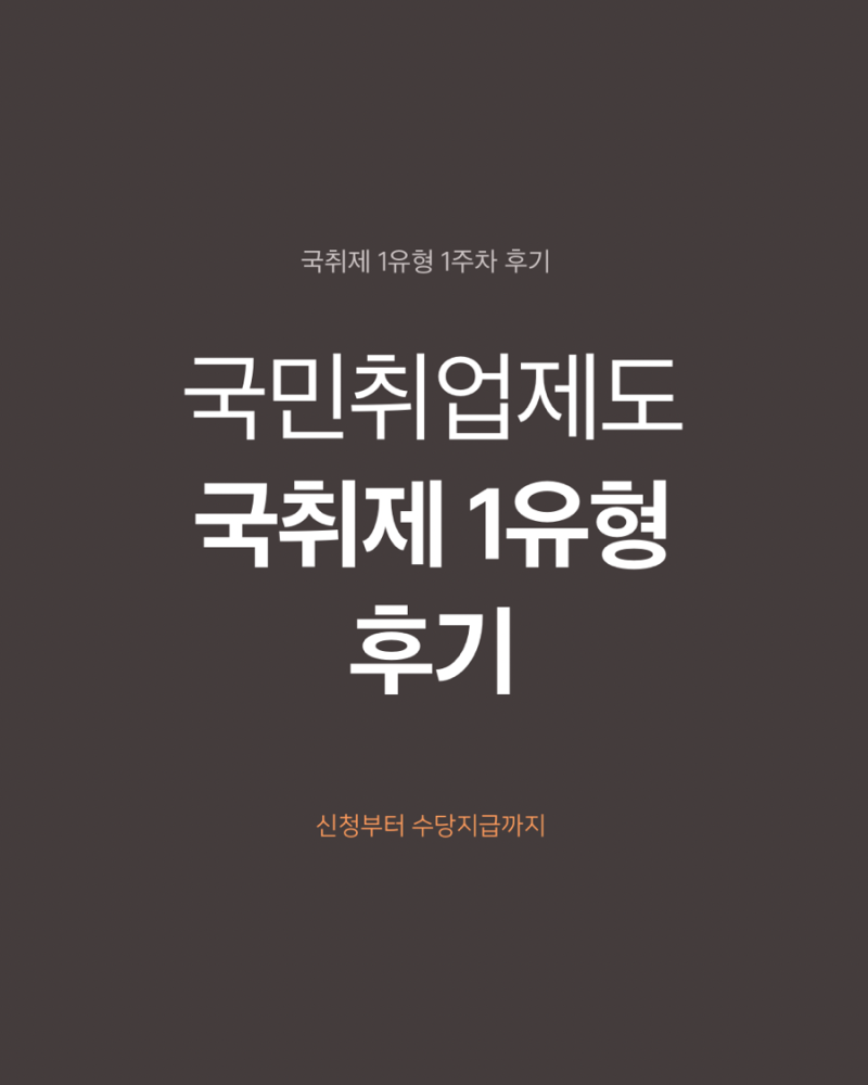 국민취업제도 국취제 1유형 1회차 후기