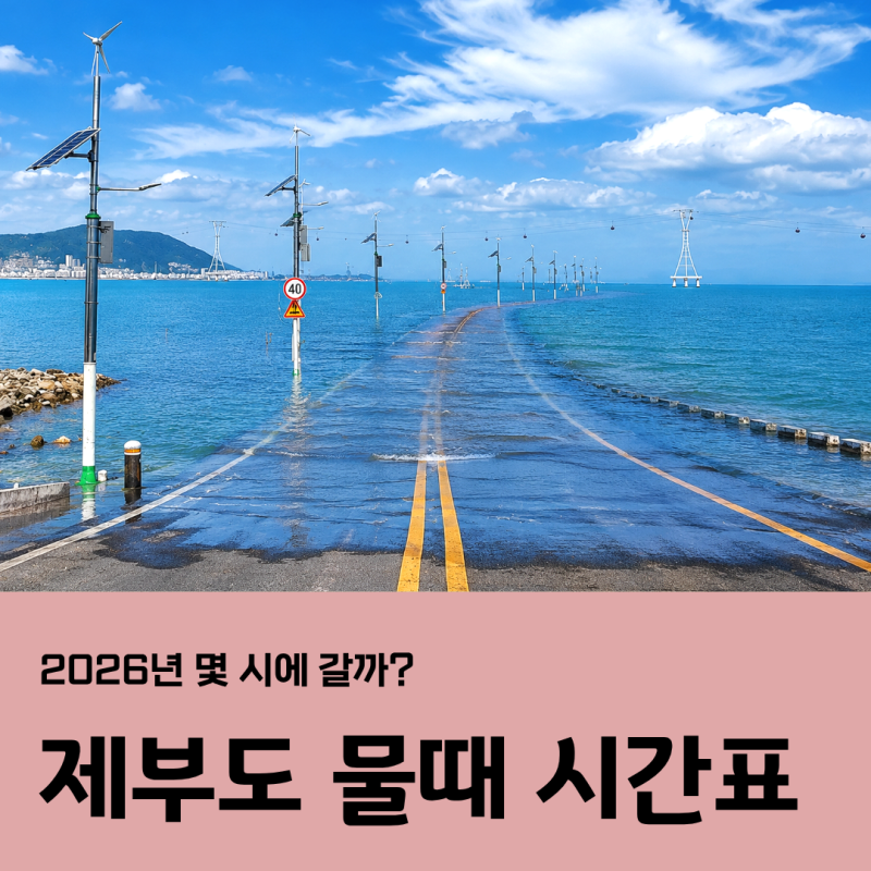 제부도 물때시간표 ? 8월 말, 9월, 10월 통행시간 총정리