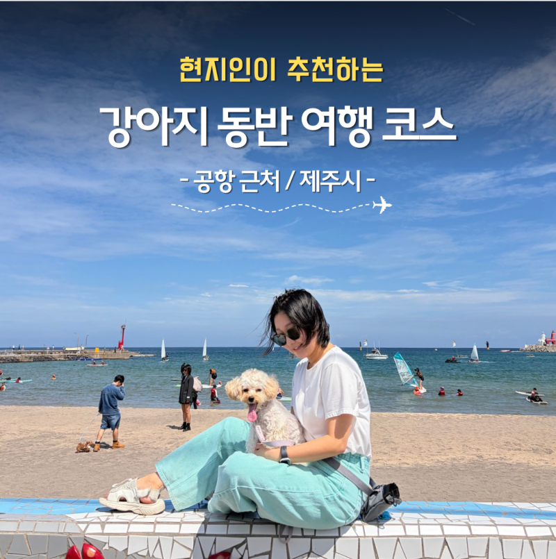 [현지인 추천] 제주 공항/제주시 애견동반 하루 코스
