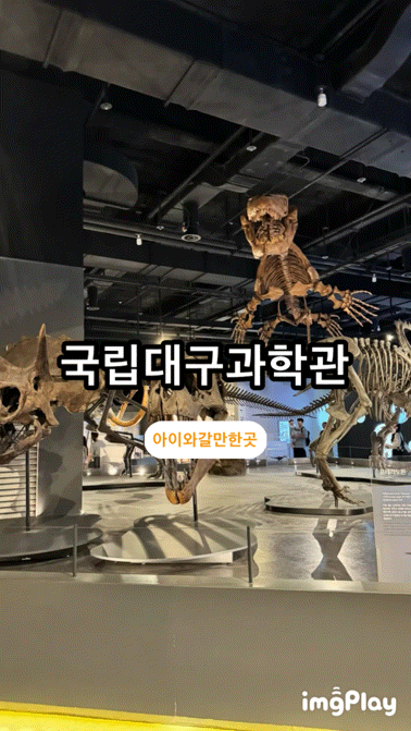 [대구]국립대구과학관공룡시대 대탐험 아이와 실내 가볼 만한 곳 대구나들이 분수놀이 놀이....