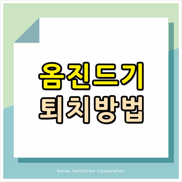옴진드기 퇴치 방법 환경 소독 없이 계속 재감염된 사례