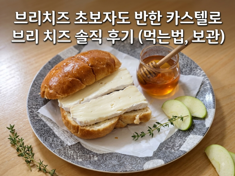 초보자도 반한 코스트코 카스텔로 브리 치즈 솔직 후기 (먹는법, 보관)