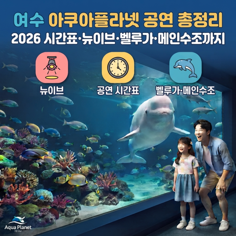 여수 아쿠아플라넷 공연 총정리, 2026 시간표·뉴이브·벨루가·메인수조까지